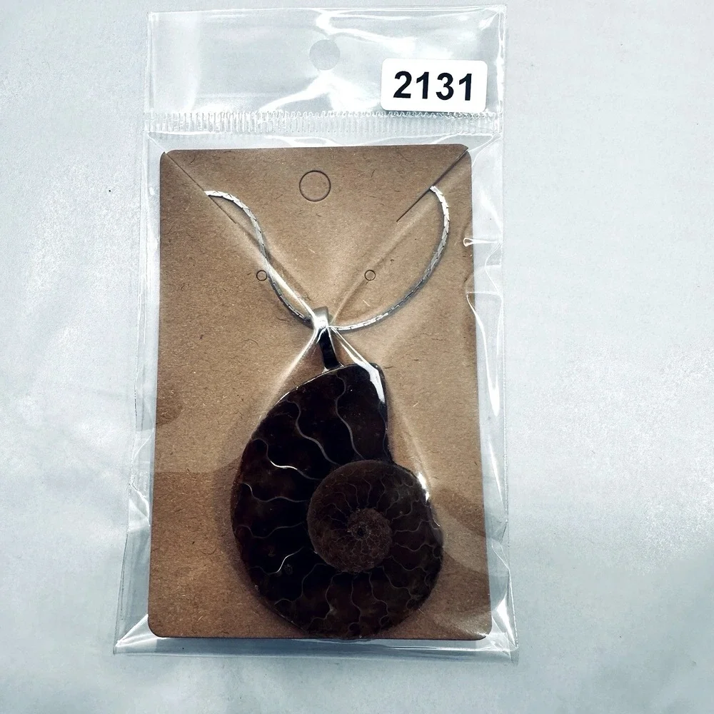 Ammonite Lg Fossil Pendant Necklace Brown Nautilus Shell Slice Silver Tone 18